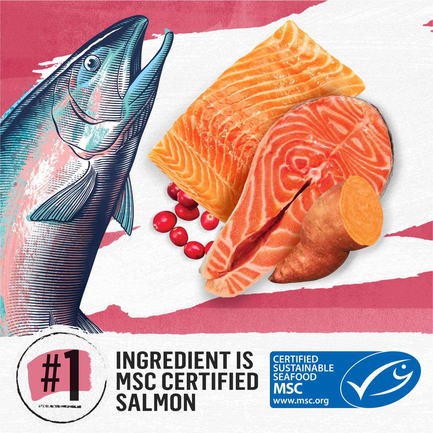 slide 8 of 8, Purina Beyond Natural Grain Free Dry Cat Food Simply Indoor Salmon, Egg and Sweet Potato Recipe, 11 lb
