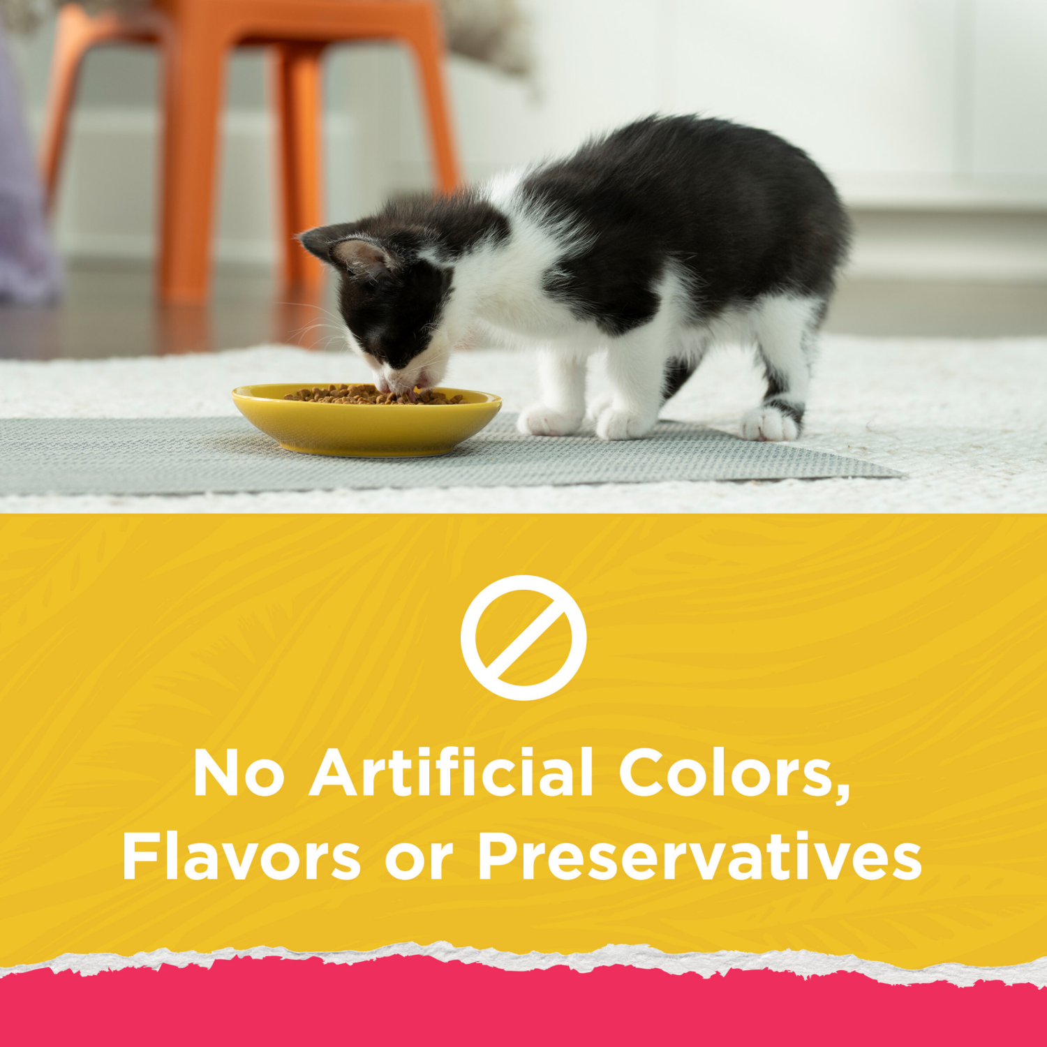 slide 4 of 8, Kitten Chow Purina Kitten Chow High Protein Cat Food Naturals With Added Vitamins, Minerals and Nutrients - 3.15 lb. Bag, 50.4 oz