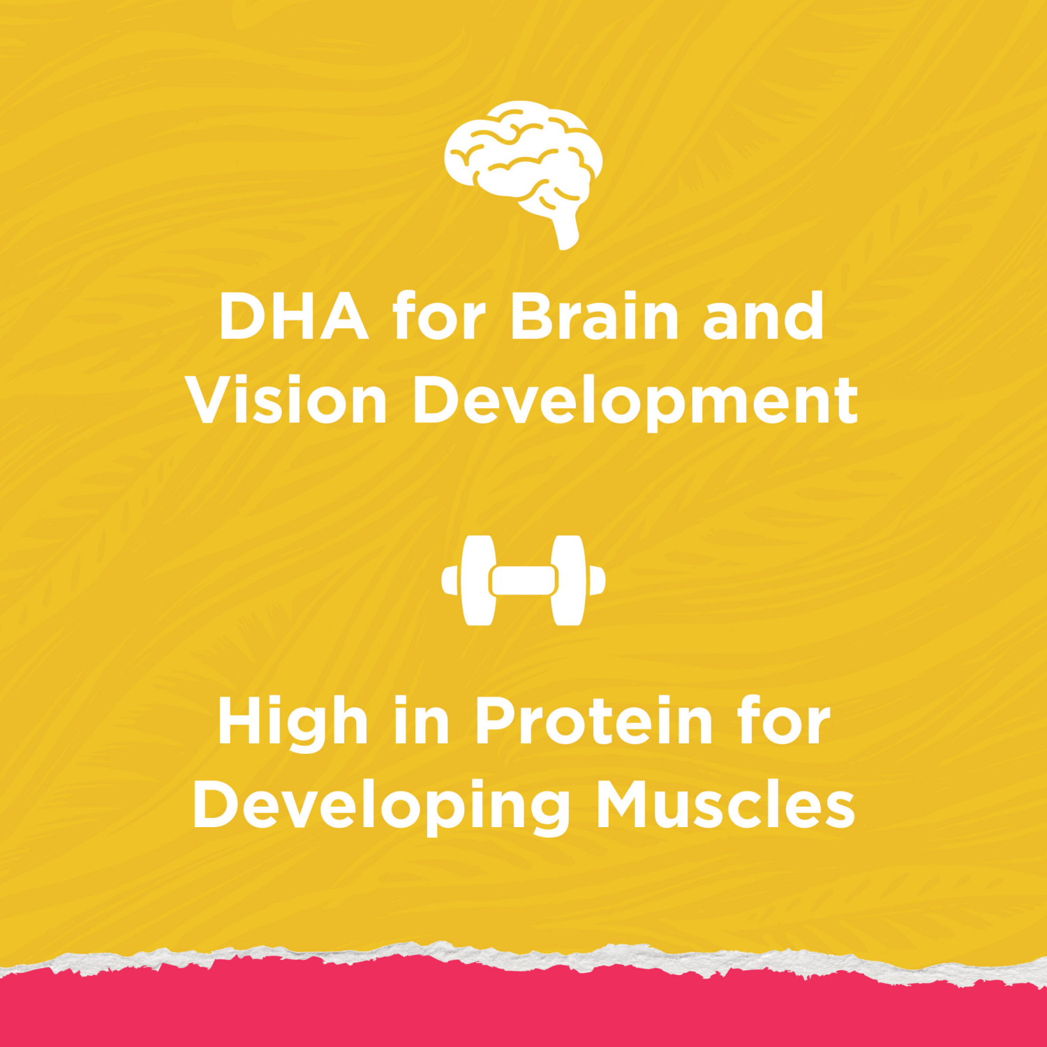 slide 5 of 8, Kitten Chow Purina Kitten Chow High Protein Cat Food Naturals With Added Vitamins, Minerals and Nutrients - 3.15 lb. Bag, 50.4 oz