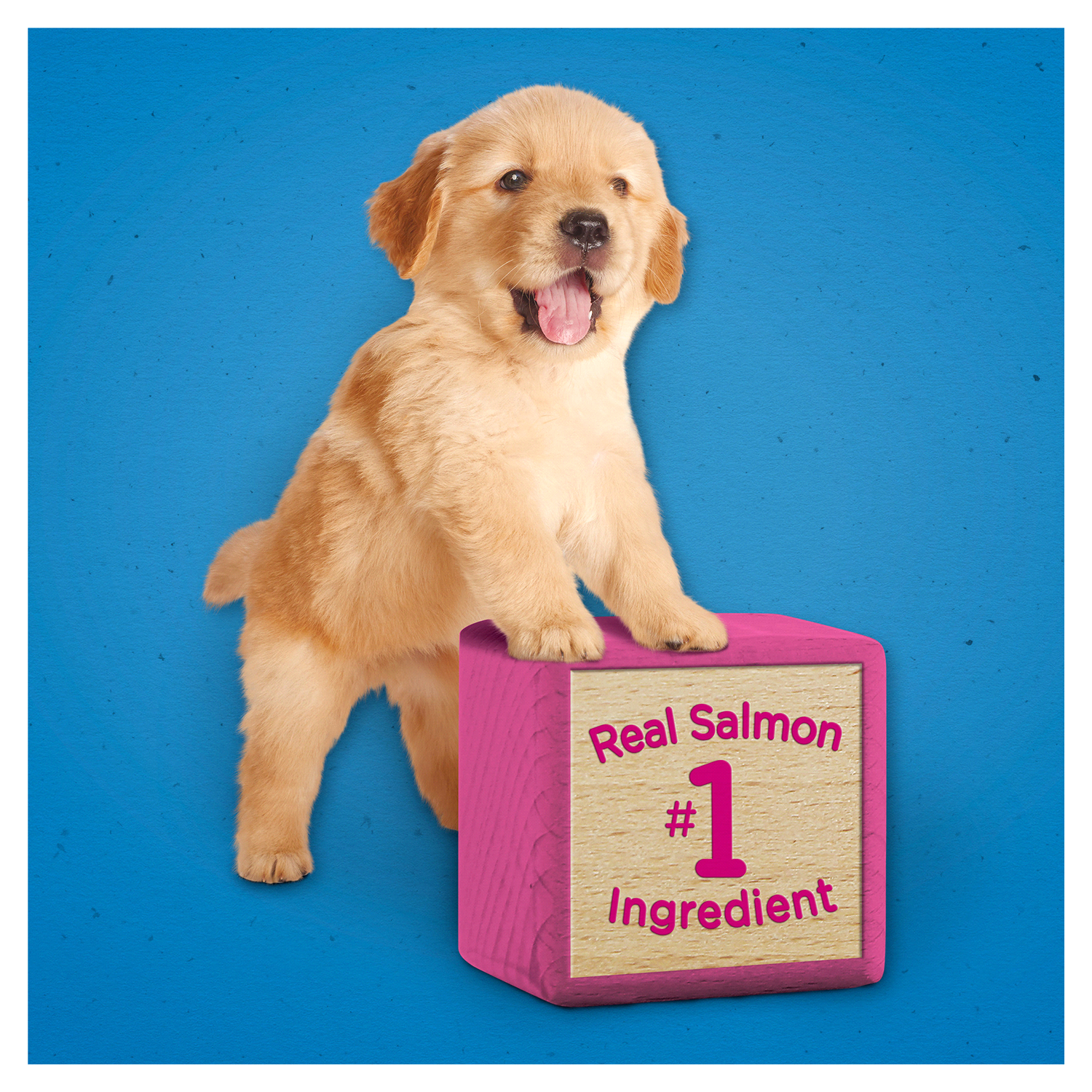 slide 3 of 5, Puppy Chow Purina Puppy Chow Training Treats, Healthy Start Salmon Treats, 7 oz
