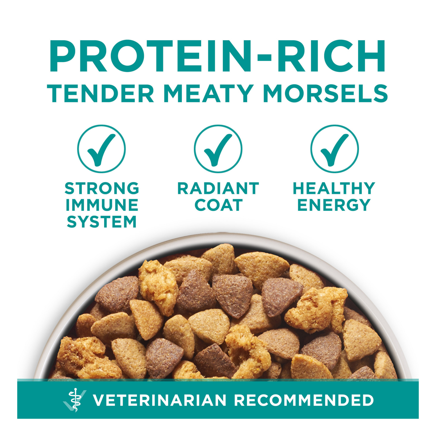 slide 2 of 8, Purina ONE Plus Digestive Health Formula Dry Dog Food Natural with Added Vitamins, Minerals and Nutrients - 16.5 lb. Bag, 16.5 lb