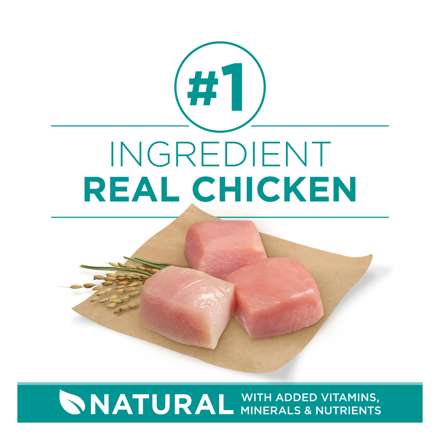 slide 2 of 5, Purina ONE Plus Digestive Health Formula Dry Dog Food Natural with Added Vitamins, Minerals and Nutrients - 16.5 lb. Bag, 16.5 lb