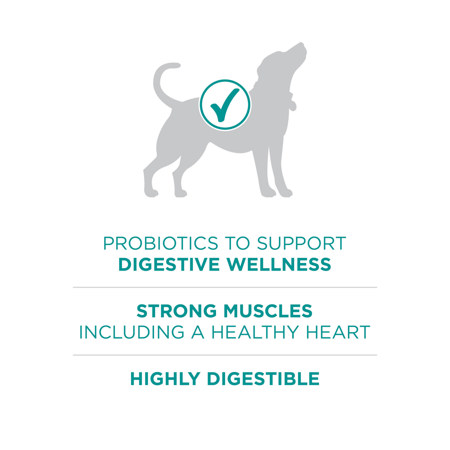 slide 3 of 5, Purina ONE Plus Digestive Health Formula Dry Dog Food Natural with Added Vitamins, Minerals and Nutrients - 16.5 lb. Bag, 16.5 lb