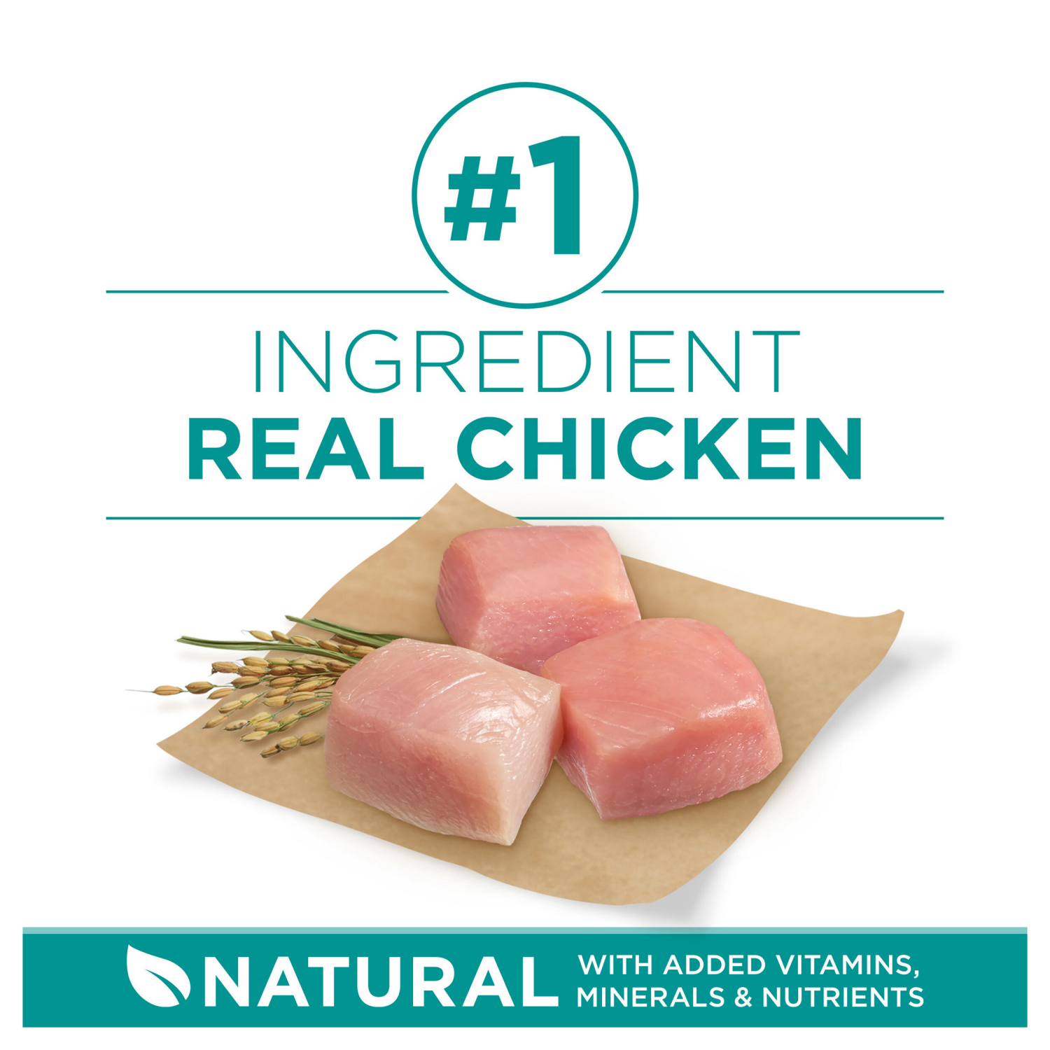 slide 2 of 8, Purina ONE Plus Digestive Health Formula Dry Dog Food Natural with Added Vitamins, Minerals and Nutrients - 8 lb. Bag, 8 lb