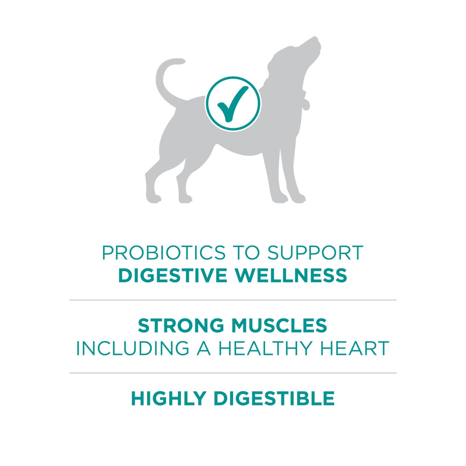 slide 5 of 8, Purina ONE Plus Digestive Health Formula Dry Dog Food Natural with Added Vitamins, Minerals and Nutrients - 8 lb. Bag, 8 lb
