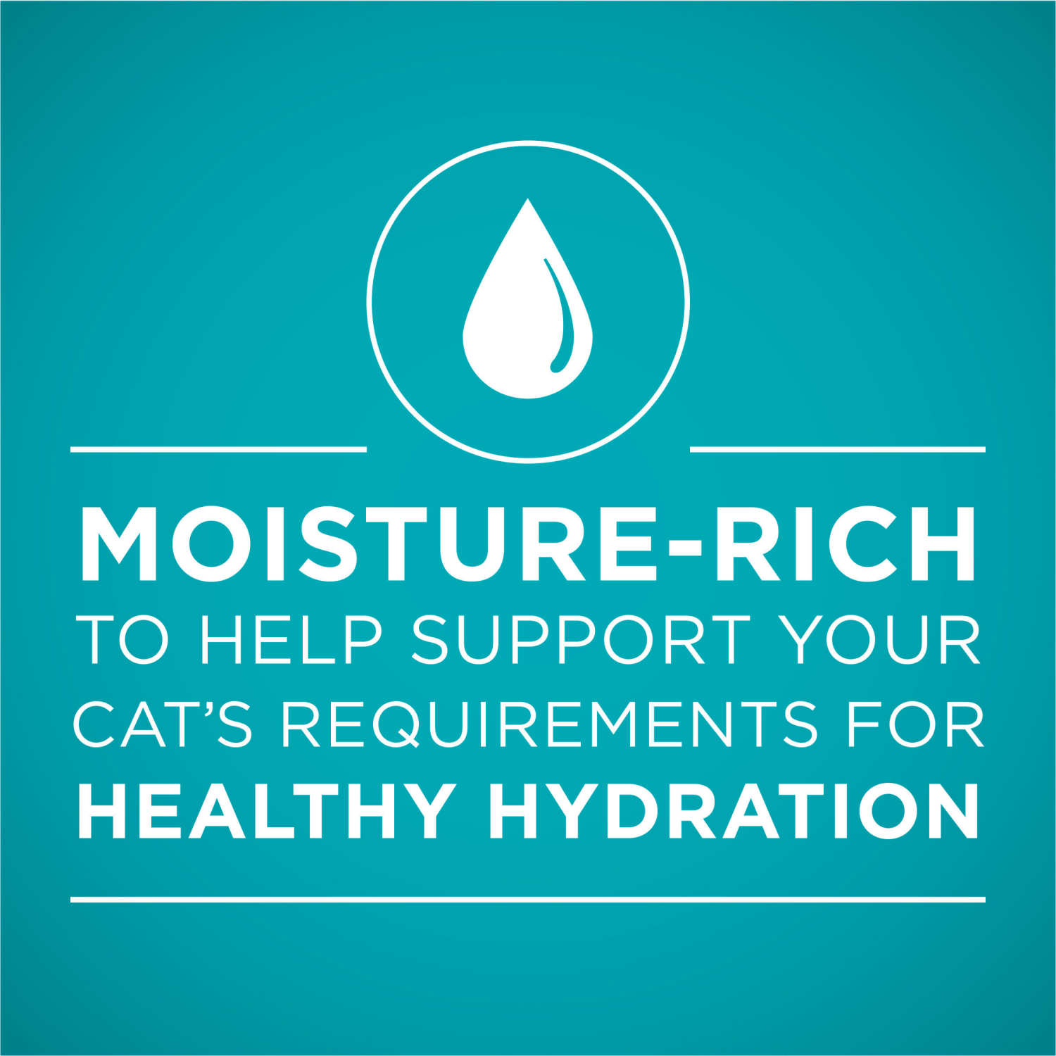 slide 3 of 5, Purina ONE Grain Free, Natural Pate Wet Cat Food Variety Pack, Beef, Chicken and Ocean Whitefish Recipes - (12) 3 oz. Pull-Top Cans, 12 ct