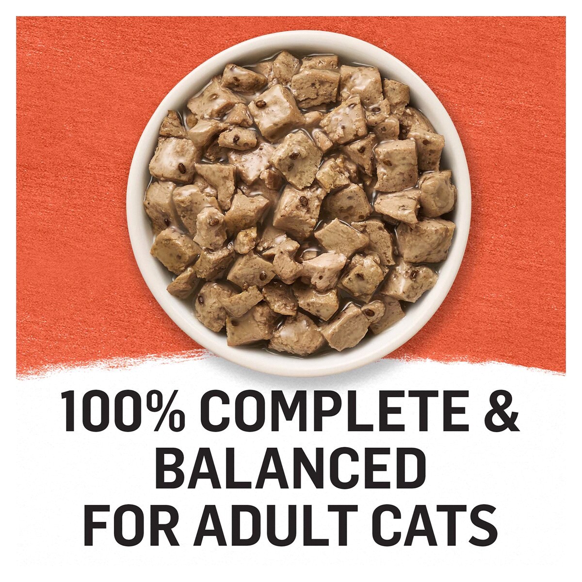 slide 12 of 29, Beyond Purina Beyond Natural Cat Food Complement, Mixers+ Digestive Support Wild Salmon & Pumpkin Recipe - 1.55 oz. Pouch, 1.55 oz