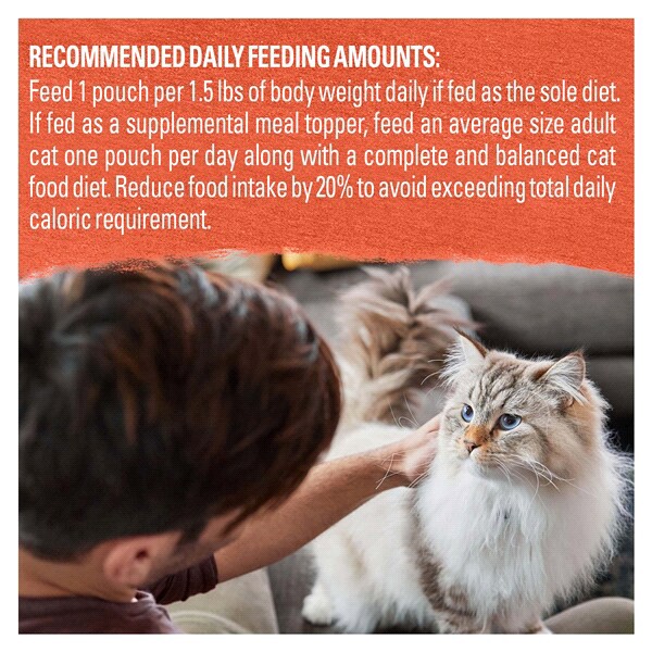 slide 15 of 29, Beyond Purina Beyond Natural Cat Food Complement, Mixers+ Digestive Support Wild Salmon & Pumpkin Recipe - 1.55 oz. Pouch, 1.55 oz