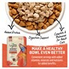 slide 27 of 29, Beyond Purina Beyond Natural Cat Food Complement, Mixers+ Digestive Support Wild Salmon & Pumpkin Recipe - 1.55 oz. Pouch, 1.55 oz