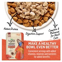 slide 11 of 29, Beyond Purina Beyond Natural Cat Food Complement, Mixers+ Digestive Support Wild Salmon & Pumpkin Recipe - 1.55 oz. Pouch, 1.55 oz