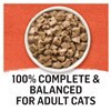 slide 5 of 29, Beyond Purina Beyond Natural Cat Food Complement, Mixers+ Digestive Support Wild Salmon & Pumpkin Recipe - 1.55 oz. Pouch, 1.55 oz