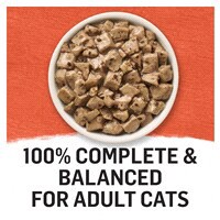slide 13 of 29, Beyond Purina Beyond Natural Cat Food Complement, Mixers+ Digestive Support Wild Salmon & Pumpkin Recipe - 1.55 oz. Pouch, 1.55 oz