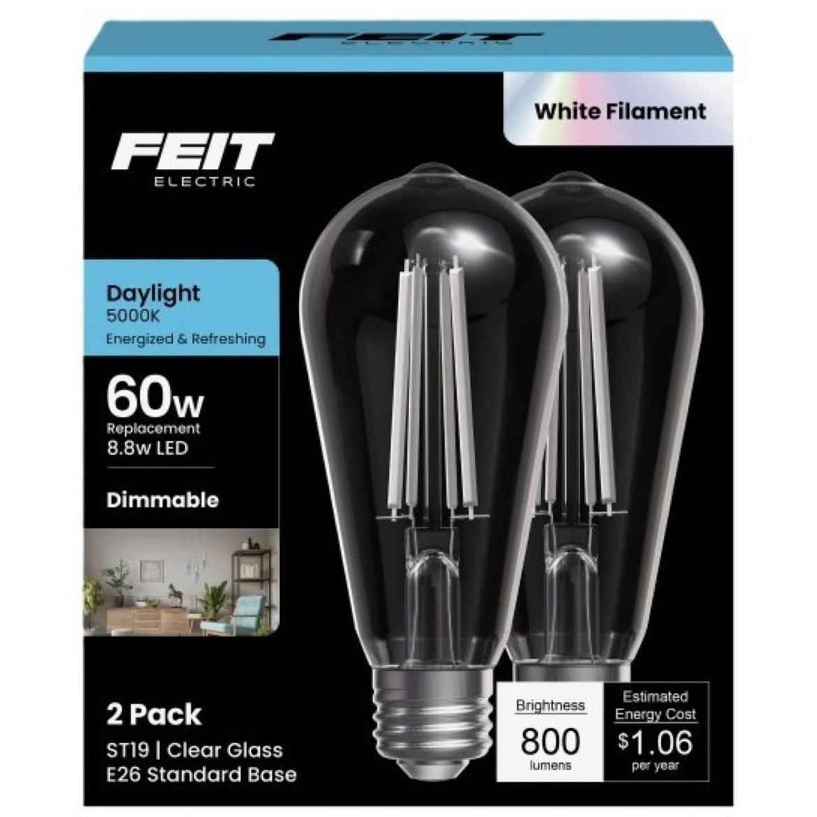 slide 1 of 1, Feit Electric ST19 60W Clear Glass White Filament Lightbulbs, 2 ct