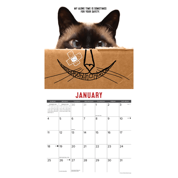 slide 3 of 5, Willow Creek Press 2026 Willow Creek Press Monthly Wall Calendar, 12"" x 12"", Bad Kitty, January To December, O50040, 1 ct