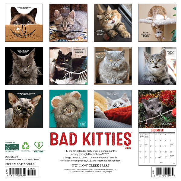 slide 5 of 5, Willow Creek Press 2026 Willow Creek Press Monthly Wall Calendar, 12"" x 12"", Bad Kitty, January To December, O50040, 1 ct