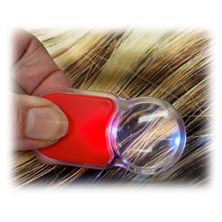 slide 3 of 4, Walgreens Lice Removal Kit, 1 ct