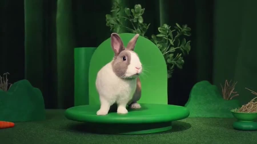 slide 6 of 7, Kaytee General Market Kaytee Forti-Diet Parrot Food, 5 lb, 1 ct