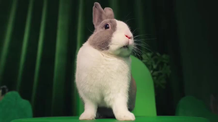 slide 5 of 7, Kaytee General Market Kaytee Forti-Diet Parrot Food, 5 lb, 1 ct