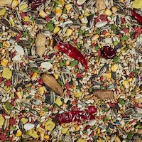 slide 2 of 7, Kaytee General Market Kaytee Forti-Diet Parrot Food, 5 lb, 1 ct