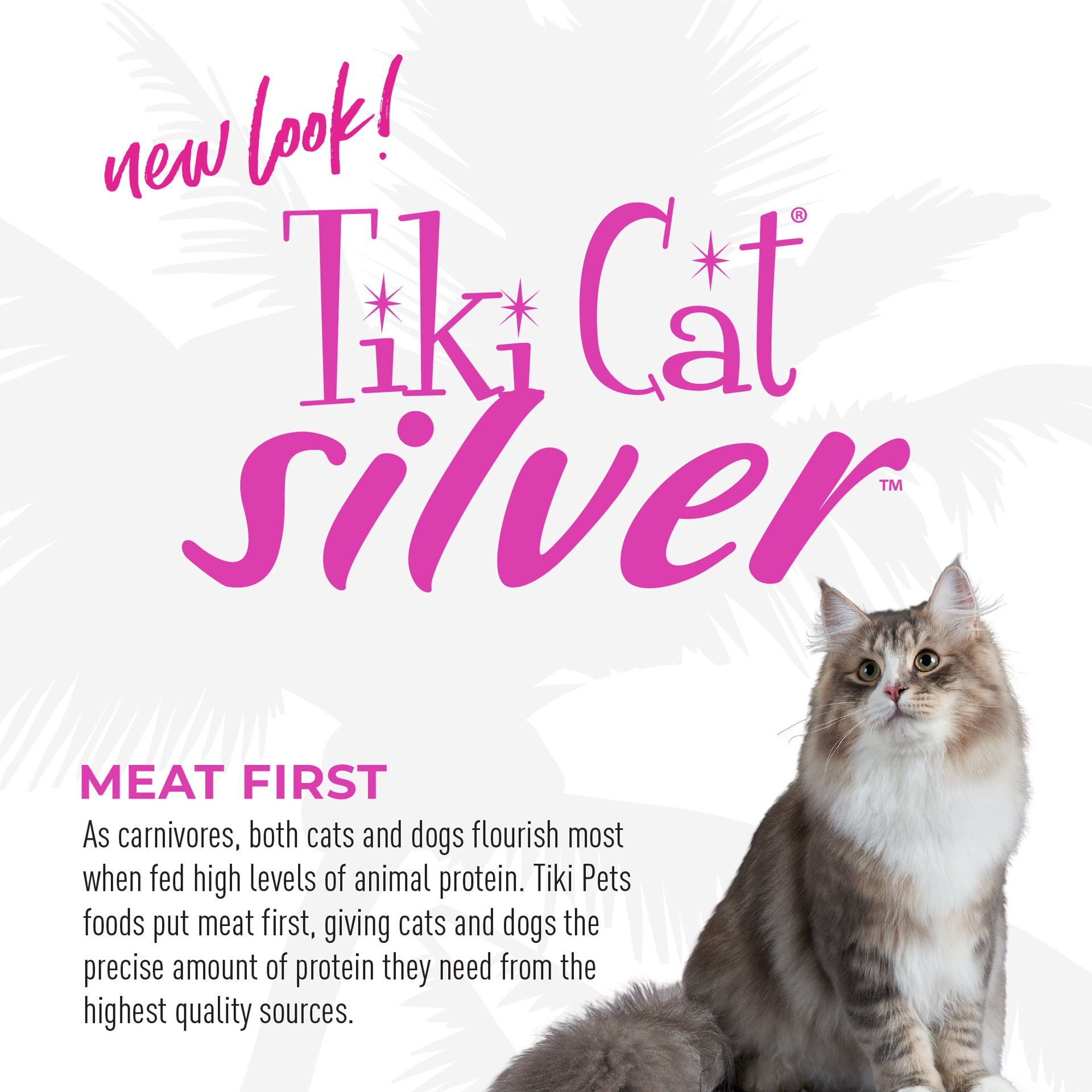 slide 2 of 9, Tiki Cat Silver Mousse Wet Cat Food for Senior Cats, Salmon & Pumpkin, 2.8 oz. Pouch, 2.8 oz