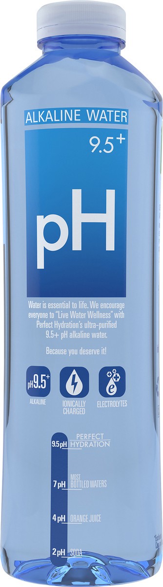 slide 5 of 6, Perfect Hydration 9.5+ pH Alkaline Electrolyte Enhanced Drinking Water, 20 fl oz, 20 fl oz