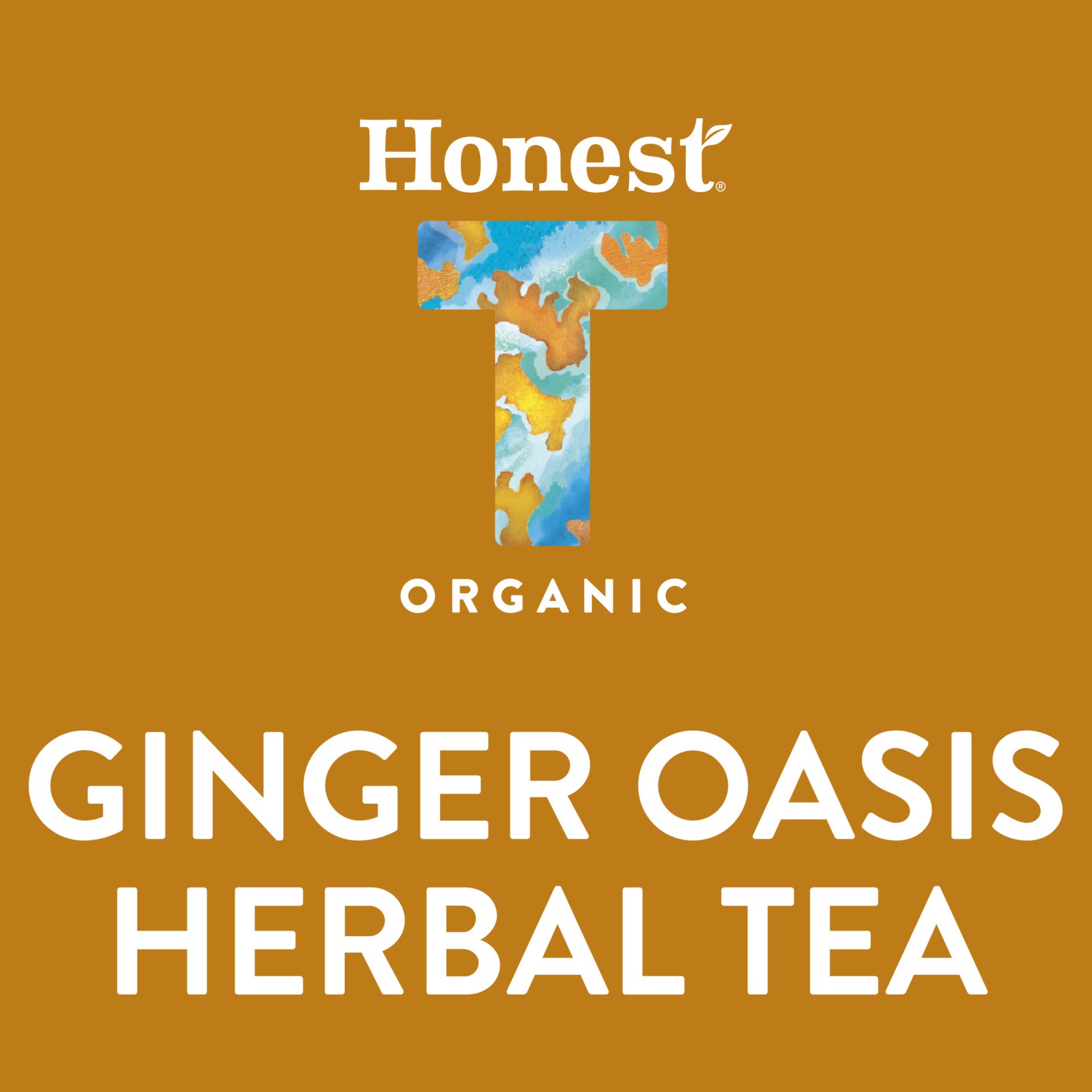 slide 5 of 14, Honest Tea Unsweetened Organic Ginger Oasis Herbal Tea - 16 fl oz, 16 fl oz