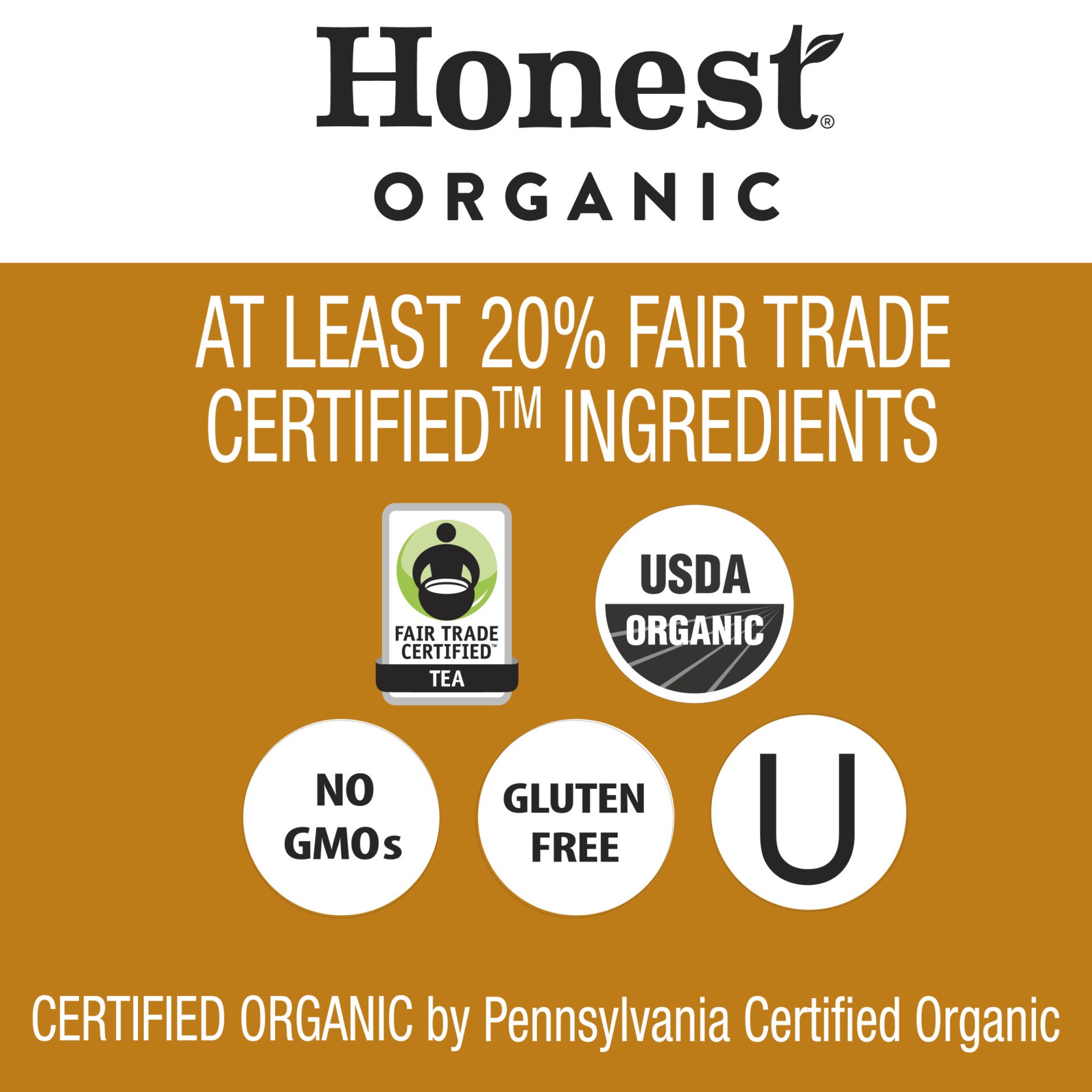 slide 6 of 14, Honest Tea Unsweetened Organic Ginger Oasis Herbal Tea - 16 fl oz, 16 fl oz