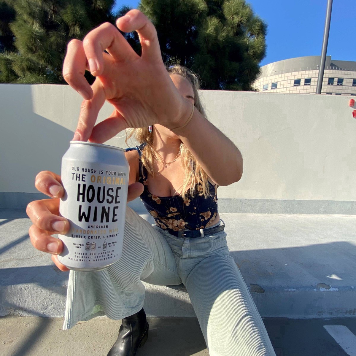 slide 16 of 29, House Wine Brut Bubbles Sparkling White Wine - 355ml Can, 355 ml