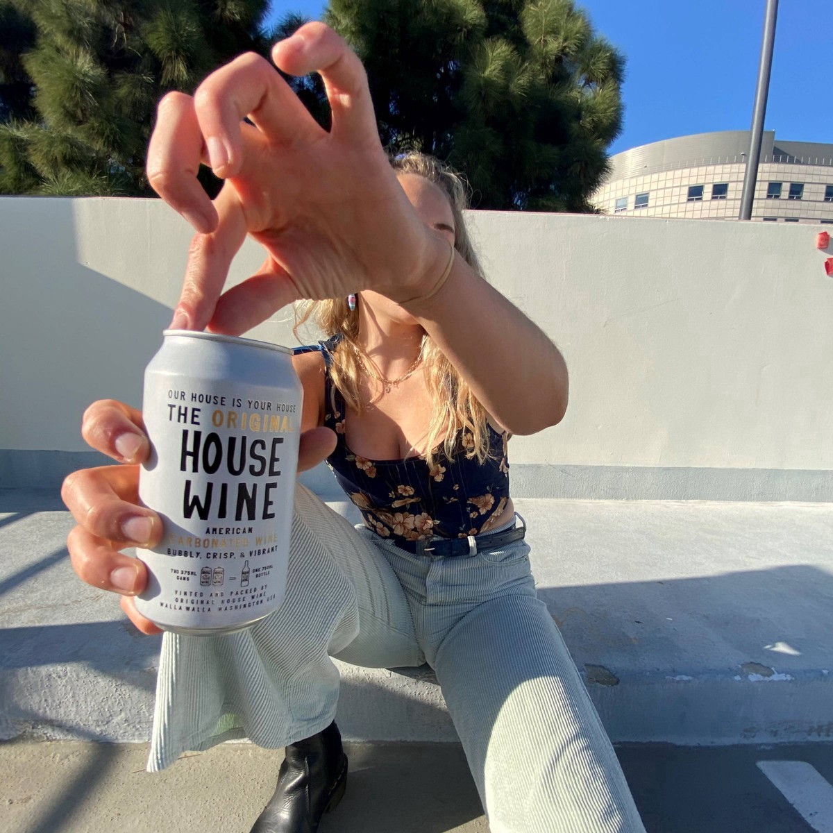 slide 10 of 29, House Wine Brut Bubbles Sparkling White Wine - 355ml Can, 355 ml