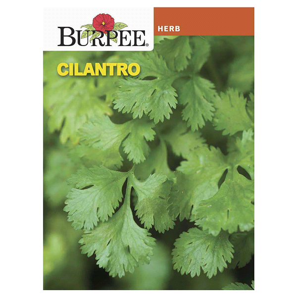 slide 1 of 1, Burpee Cilantro Common, 1.9 gram