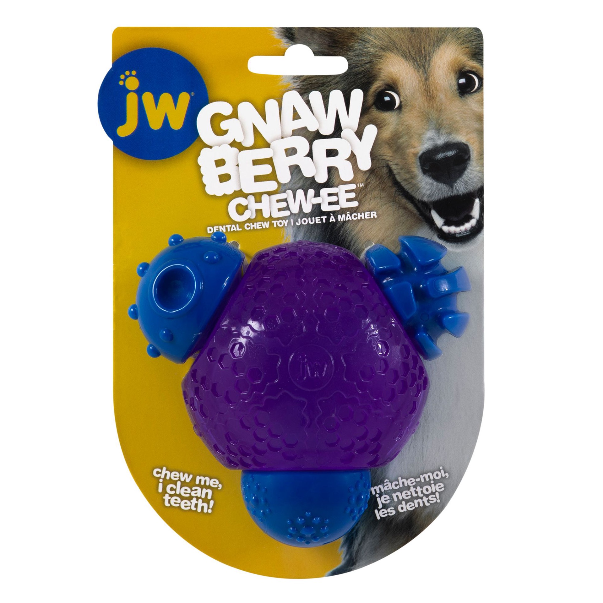 slide 1 of 1, Jw Pet Co JW Pet Gnaw Berry Chew-ee Dental Chew Dog Toy, 1 ct