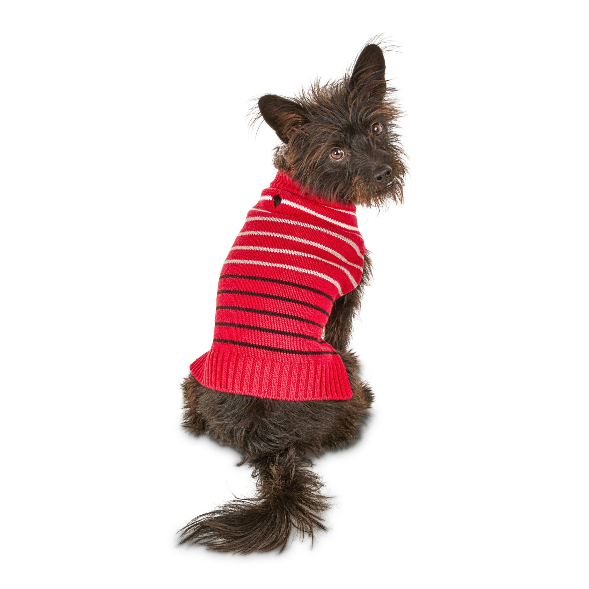 slide 1 of 1, Bond & Co. Red Knit Striped Dog Sweater, SM