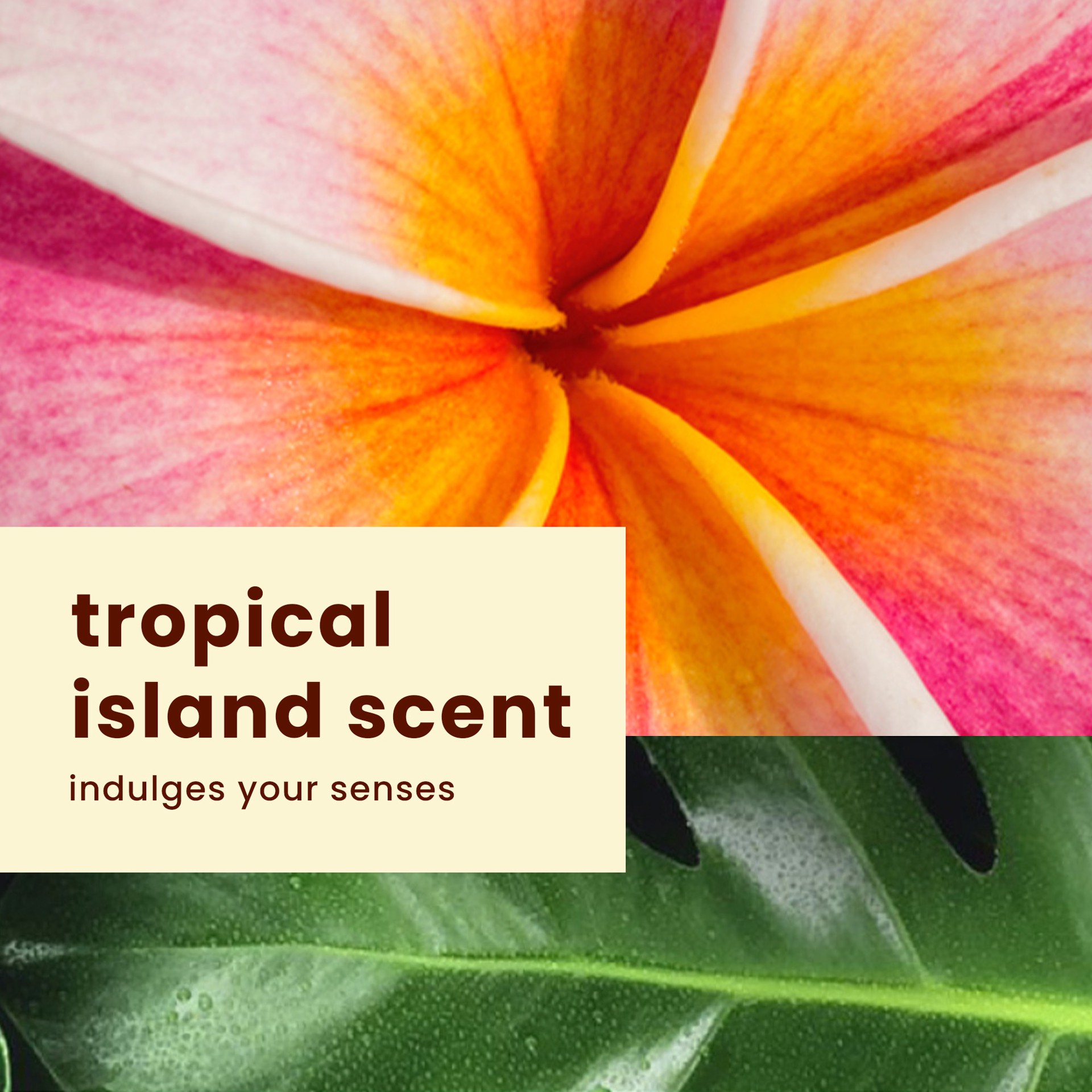 slide 8 of 8, Hawaiian Tropic Weightless Hydration Clear Spray Sunscreen, SPF 30, 6oz, 6 oz
