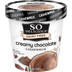 So Delicious Dairy Free Cashew Milk Frozen Dessert, Creamy Chocolate, Vegan, Non-GMO Project Verified, 1 Pint