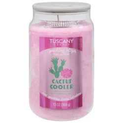Tuscany Candle Cactus Cooler Scented Sparkling Seltzer Collection Candle