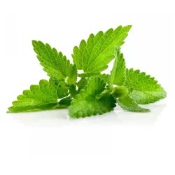 Wensleydale & Cranberries