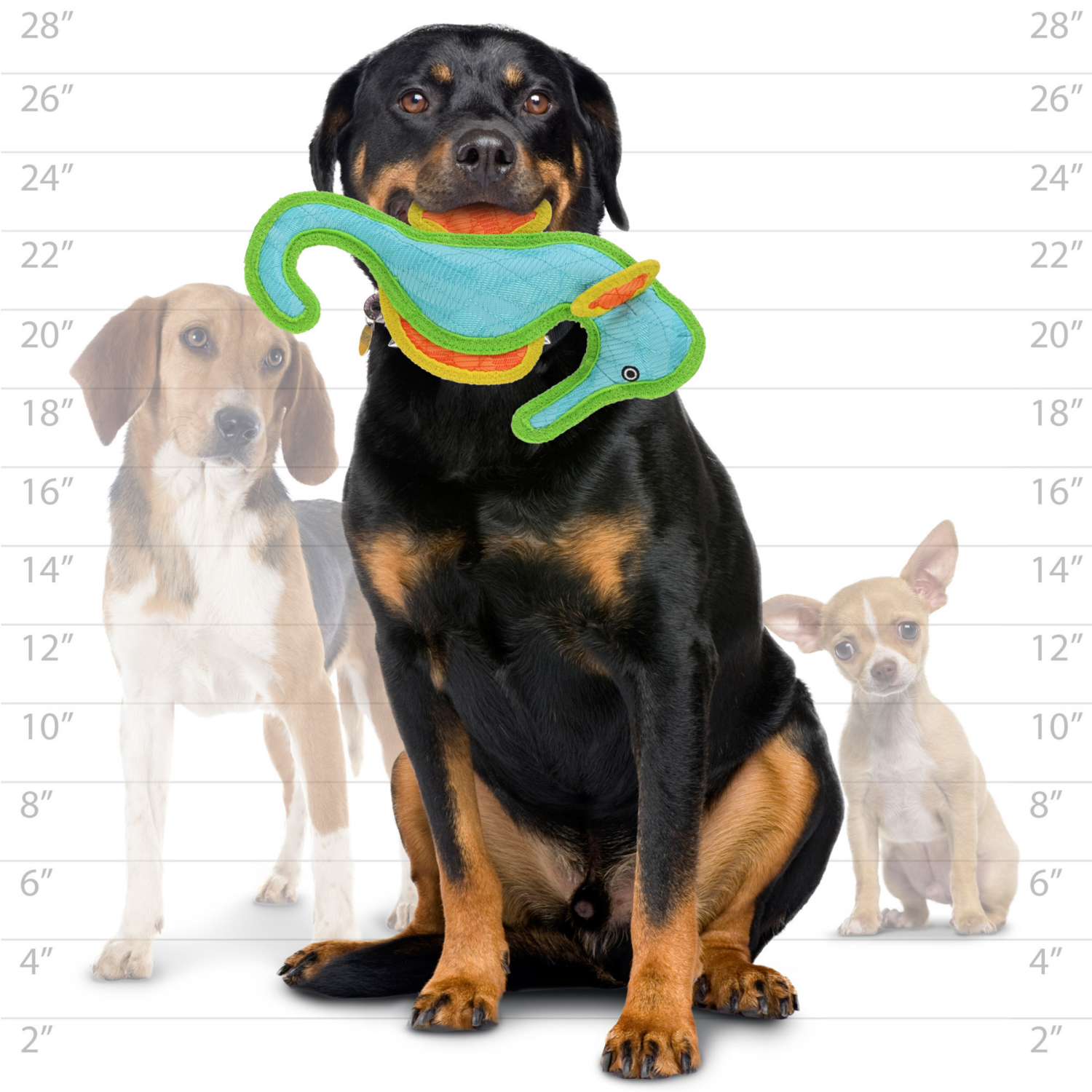 slide 3 of 3, DuraForce Seahorse Blue, 1 ct