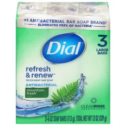 Dial Deodorant Soap Antibacterial Mountain Fresh