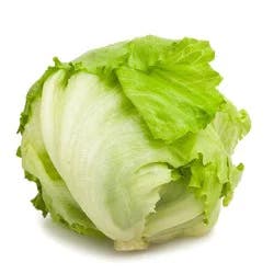 Iceberg Lettuce