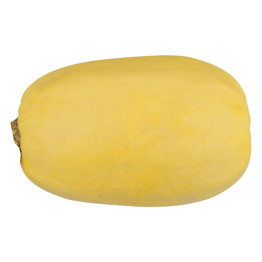 slide 1 of 1, Gatorade Spaghetti Squash, 1 ct