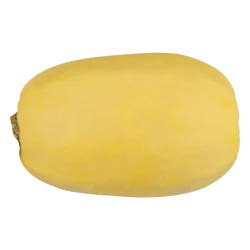 Gatorade Spaghetti Squash