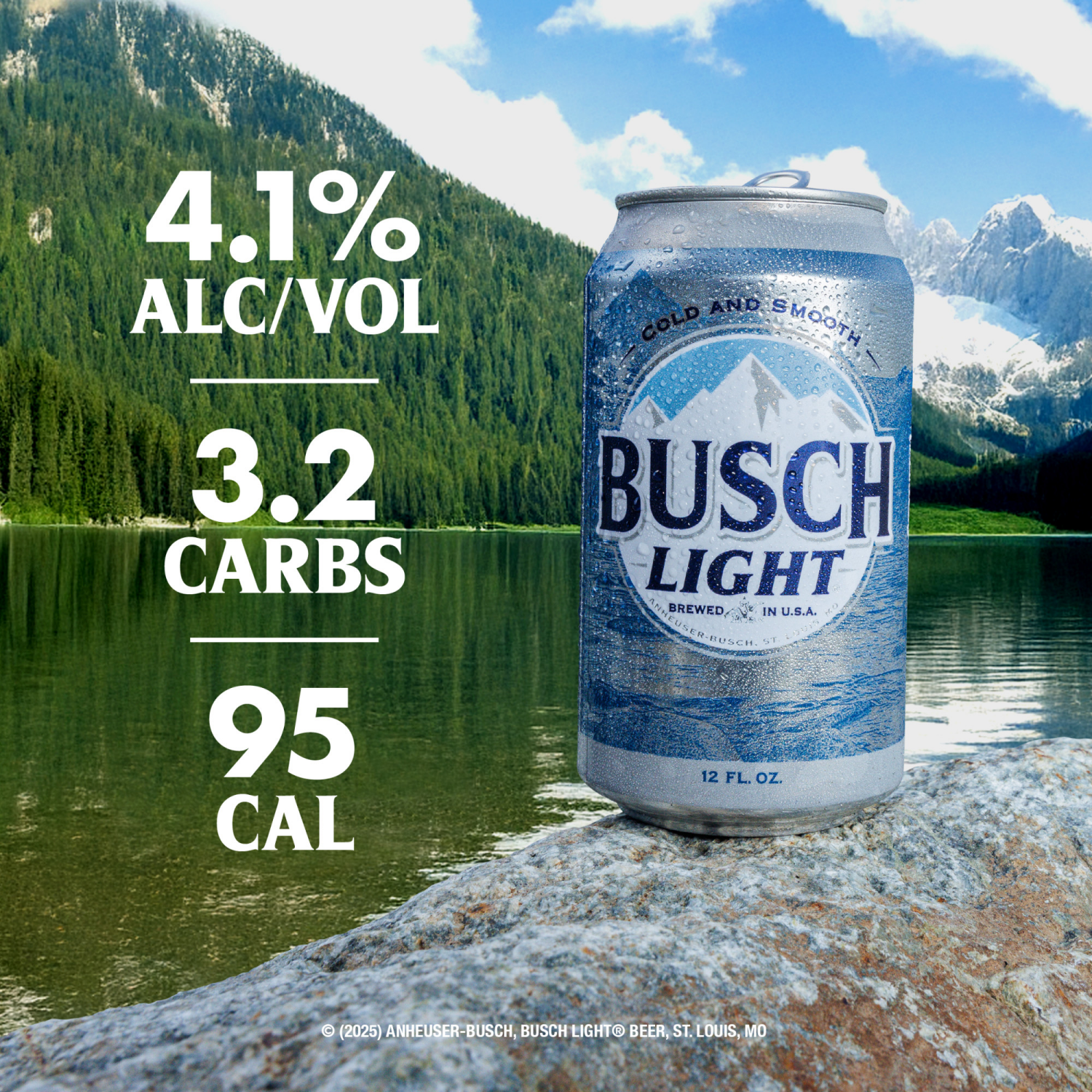 slide 2 of 8, Busch Light Beer 12 ea, 12 ct; 12 fl oz