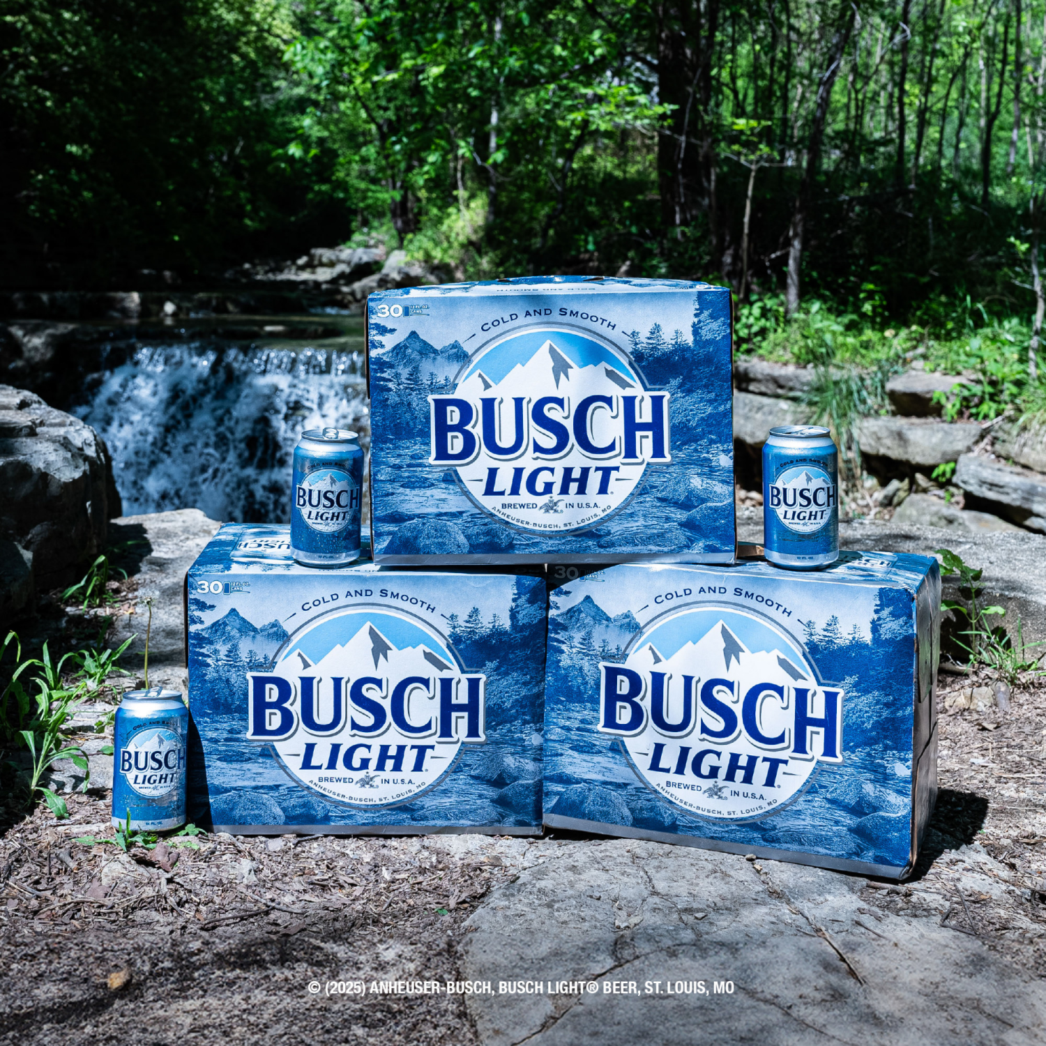 slide 3 of 8, Busch Light Beer 12 ea, 12 ct; 12 fl oz