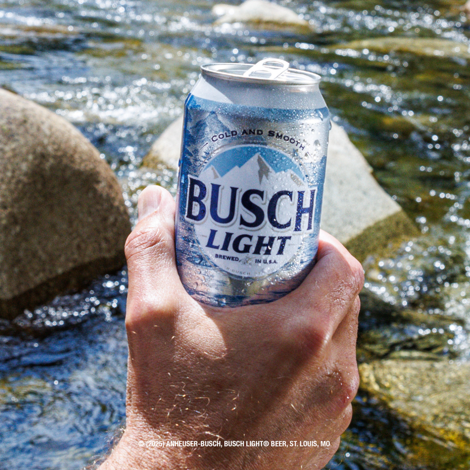 slide 5 of 8, Busch Light Beer 12 ea, 12 ct; 12 fl oz