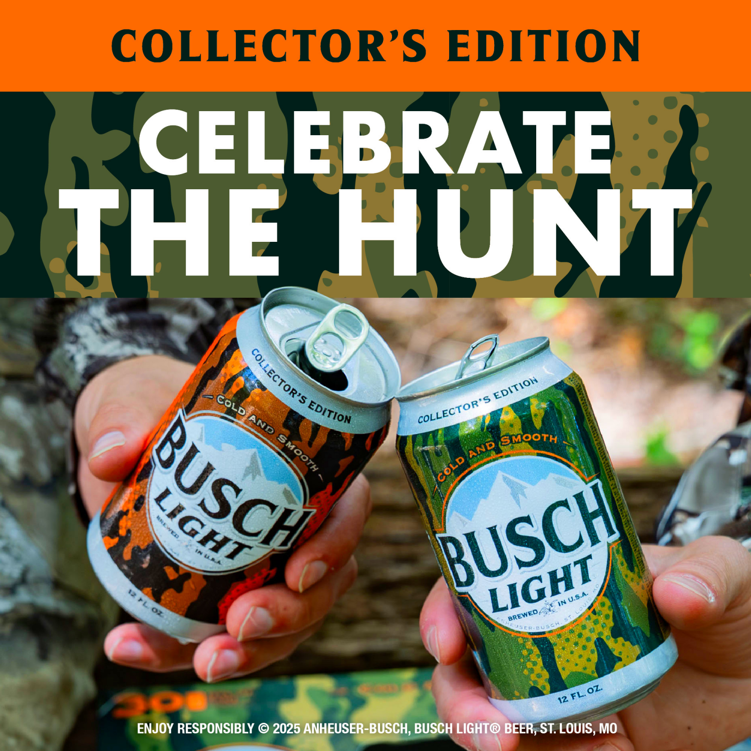 slide 6 of 8, Busch Light Beer 12 ea, 12 ct; 12 fl oz