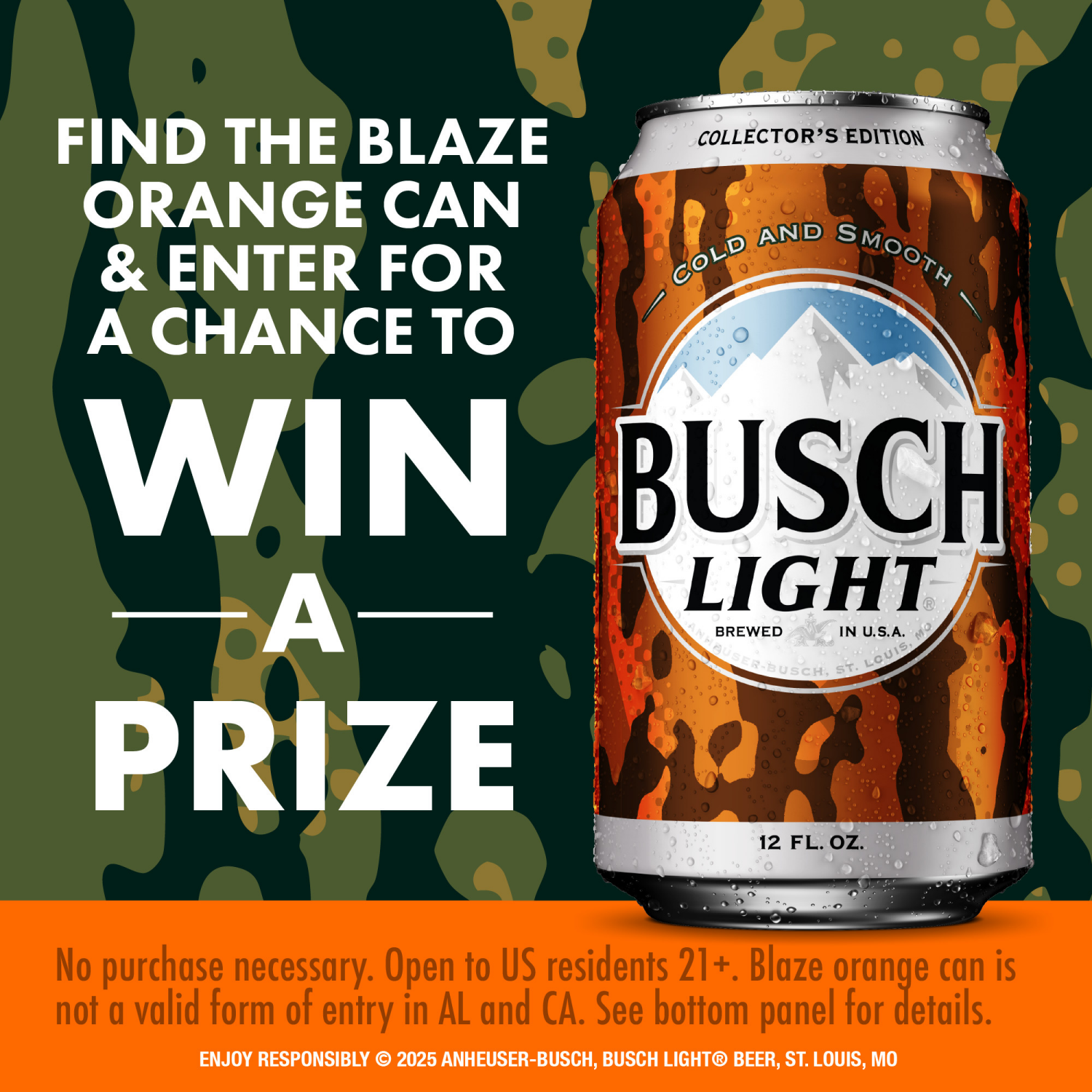 slide 8 of 8, Busch Light Beer 12 ea, 12 ct; 12 fl oz