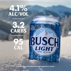 Busch Light Beer 12 ea