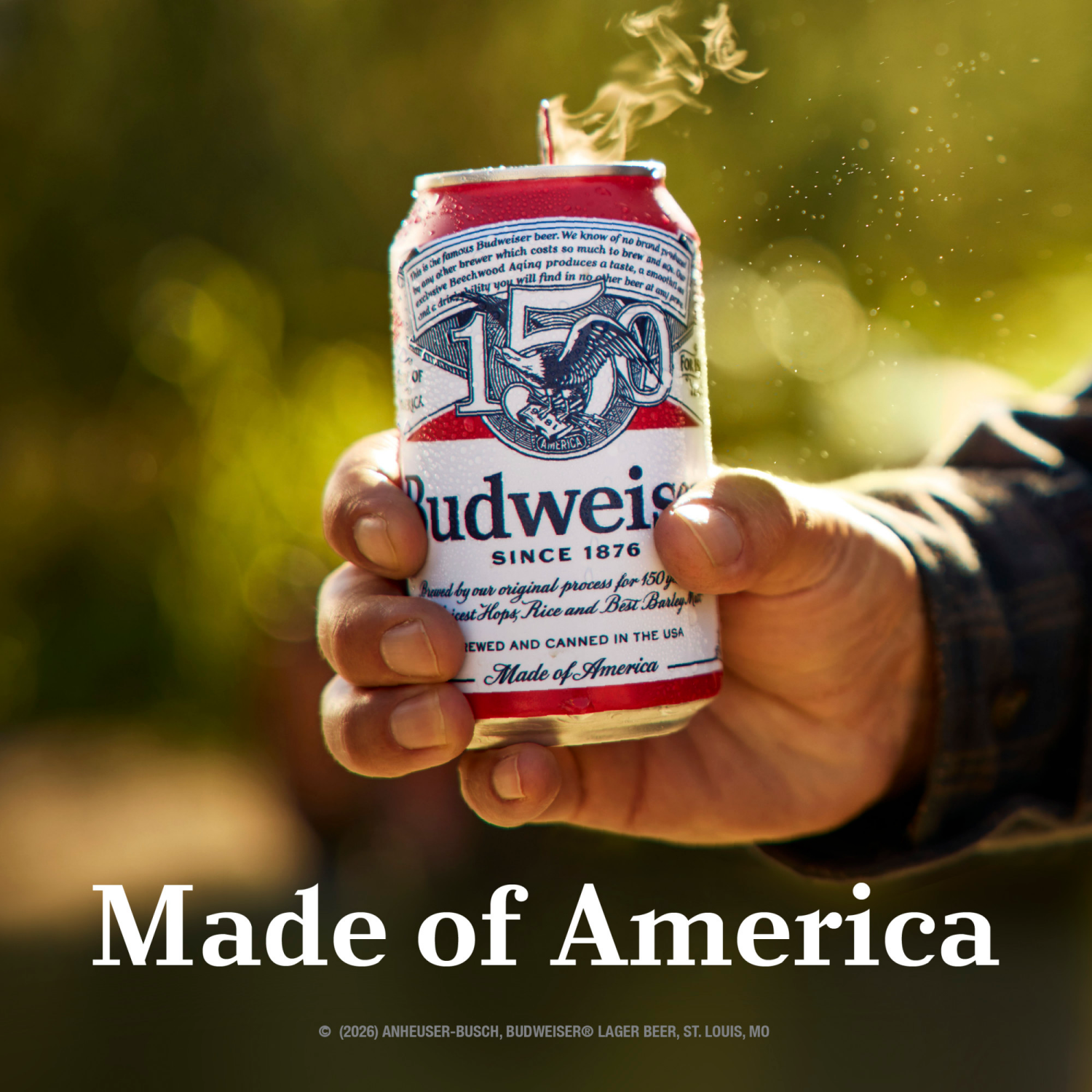 slide 6 of 7, Budweiser Beer, 24 ct; 12 fl oz