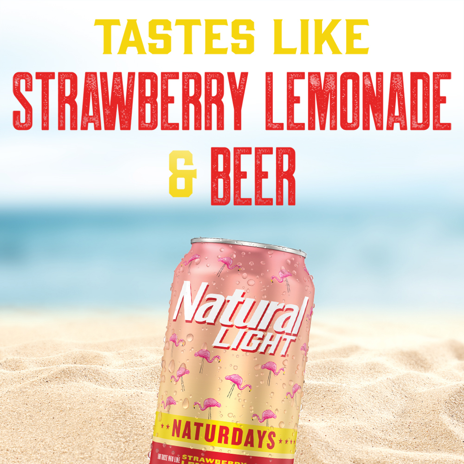 slide 3 of 7, Natural Light Naturdays Light Beer, 30 Pack Beer, 12 FL OZ Cans, 4.2% ABV, 30 ct; 12 oz