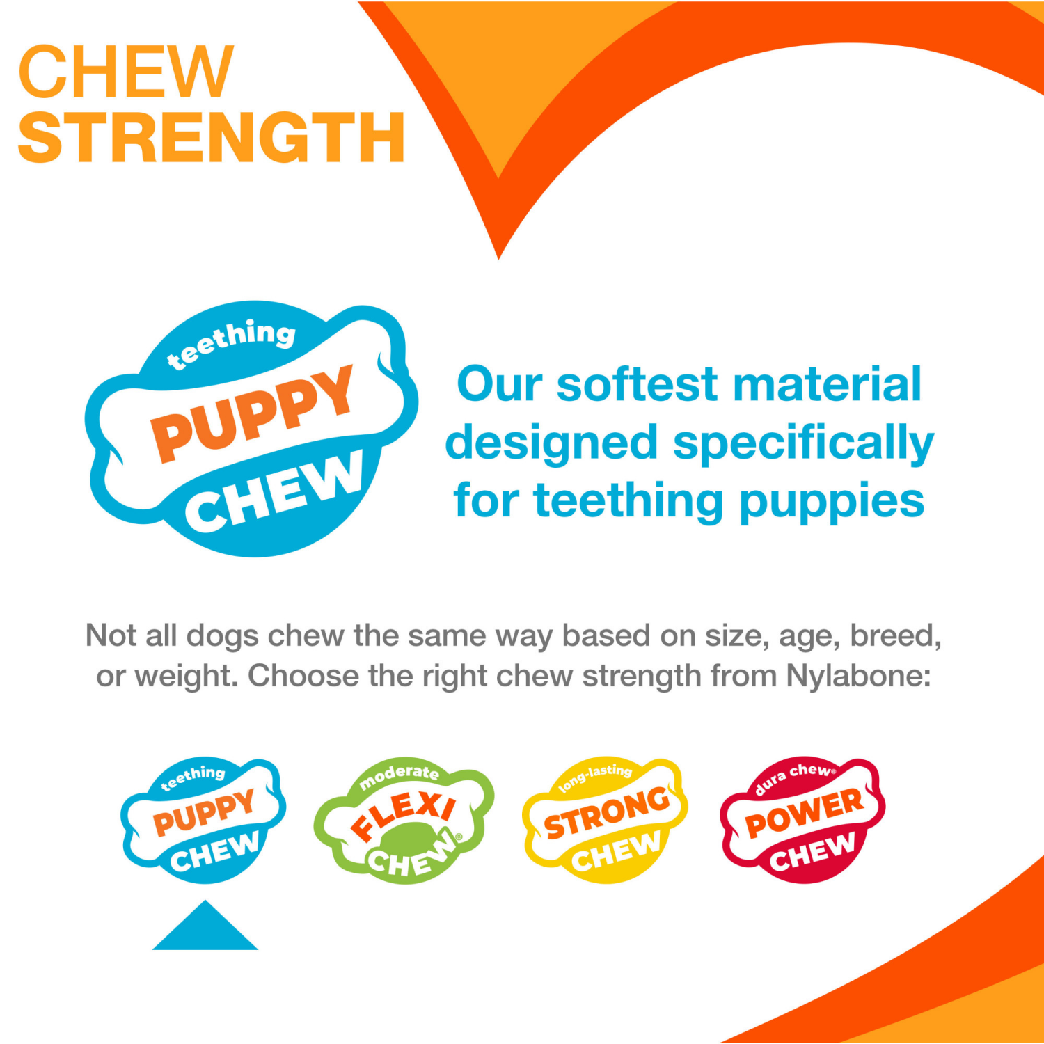 slide 3 of 6, Nylabone Puppy Teething & Soothing Flexible Chew Toy Chicken Blue X-Small/Petite - Up to 15 lbs.(1 Count), 1 ct